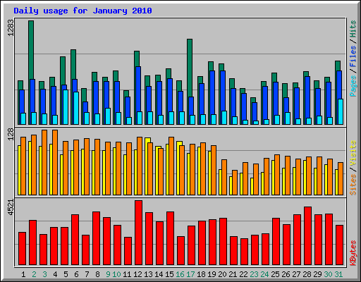 Daily usage for January 2010