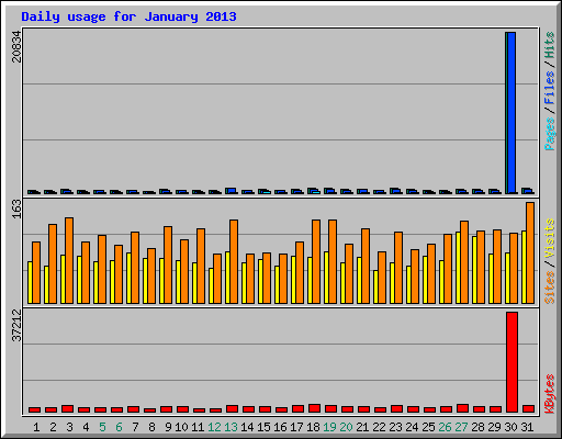 Daily usage for January 2013