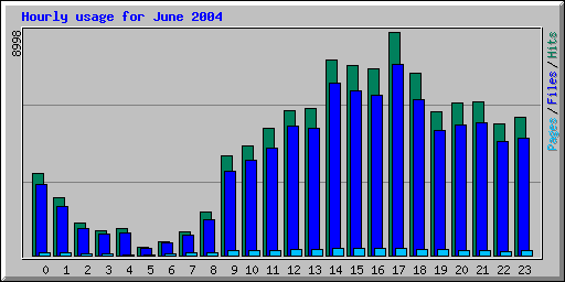 Hourly usage for June 2004