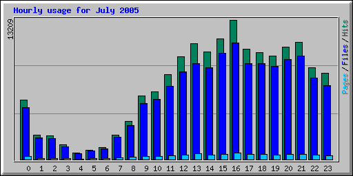 Hourly usage for July 2005