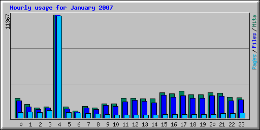 Hourly usage for January 2007