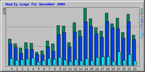 Hourly usage for December 2009