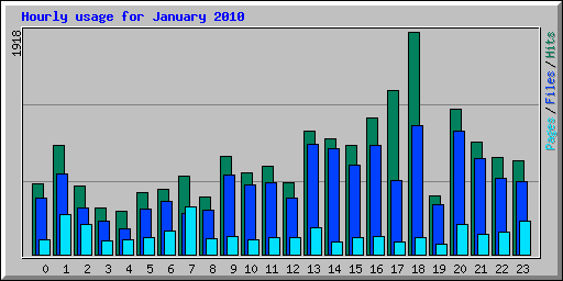 Hourly usage for January 2010