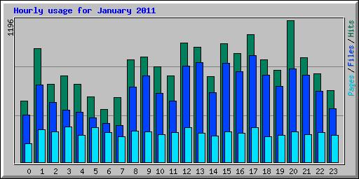 Hourly usage for January 2011