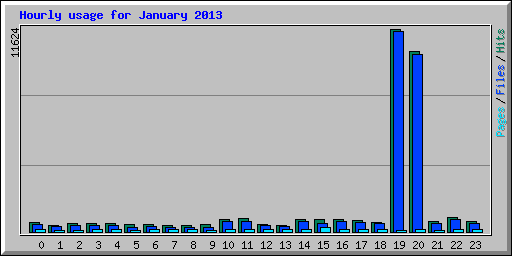 Hourly usage for January 2013