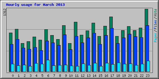 Hourly usage for March 2013