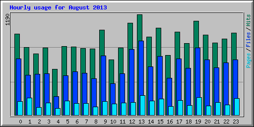 Hourly usage for August 2013