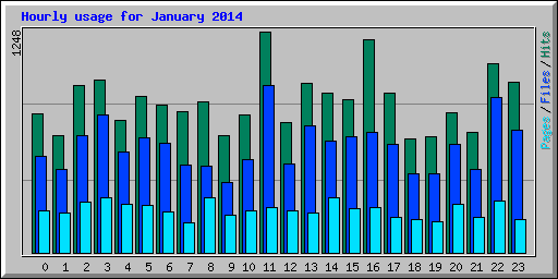 Hourly usage for January 2014