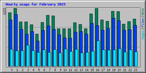 Hourly usage for February 2015