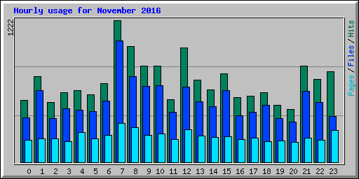 Hourly usage for November 2016